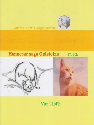 cover image of Hannesar saga Grásteins - 17. bók